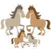 chevaux chevaux Pholen 4 432