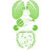 Vegetable organs anatomy
