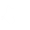 Schrödinger's Cat