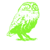 Hibou en vert