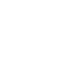 Stier