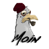 Möwe