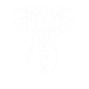 Geometric Elephant