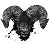 Widder Steinbock Kopf Art Dickkopf