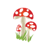 Red mushroom
