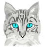 Cat drawn