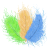 Feathers, colourfully mixed
