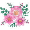 blossoms