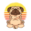 Yoga Pug.