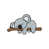 Koala Good At Naps