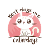 caturday cat