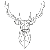 Hirsch geometric