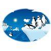 Pinguine