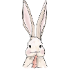 Doux lapin
