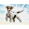 Dog, Dog, Terrier