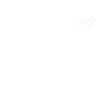 Weitsprung Evolution