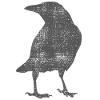 Corbeau