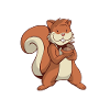 squirrel