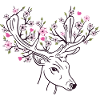 Deer Antlers Deer Flowers Flowers Floral Spring