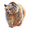 Grizzly