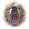 Grizzly