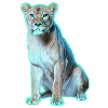 Löwe