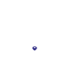Raccoon - Raccoon