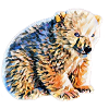 Icebear