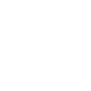 Old moth