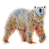 Icebear