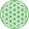 Fleur de vie avec arbre