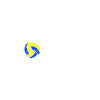 Volleyball coach