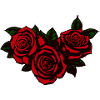 Three roses