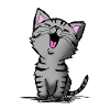 Chat mignon
