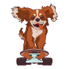 Cavalier dog skater