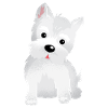 Petit chien si doux
