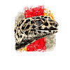 Gecko Lizard Leopard Gecko