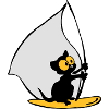 Georgie voiles chaton