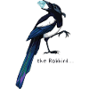 Thieving magpie