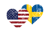 Svezia America Gift Flag Funny USA