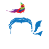 pirate