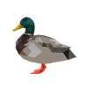 Duck, , ducks polygon geometric