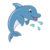 dolphin