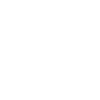 2019 line