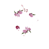 U=U Undetectable Equals Untransmittable HIV
