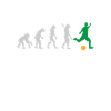 EVOLUTION FOOTBALL SOCCER EVOLUTION