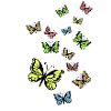 Schmetterlinge