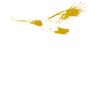 The Golden Eagle