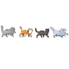the kittens