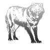 Wolf in silver